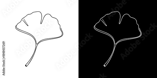 A detailed and minimalist illustration of a Ginkgo Biloba leaf, presented in both white on black and black on white