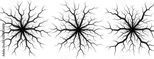 Set of black radial crack and root system silhouettes for ground fractures lightning strikes nervous system connections and abstract spreading network graphic design elements