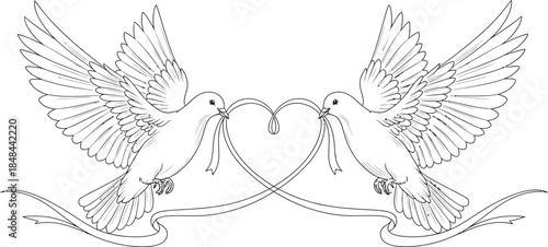 Two doves flying holding ribbon forming a heart shape black white outline drawing