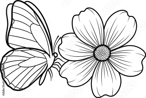 Butterfly and flower outline drawing nature insect bloom garden art coloring page design element