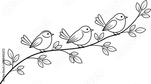 Three small black and white bird outline illustrations perched on a leafy branch for minimalist nature branding spring garden decor and simple line art graphic elements