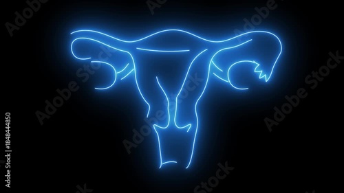 Female Reproductive System Uterus Neon Blue Line Art Illustration