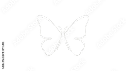 Butterfly line art drawing minimalist insect nature simple continuous single stroke design element