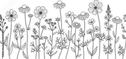 Detailed black and white wildflower meadow border with daisies cosmos and field flowers for rustic wedding invitations botanical branding and garden-themed graphic design