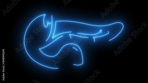 Human Pancreas and Duodenum Anatomy Neon Blue Line Animation