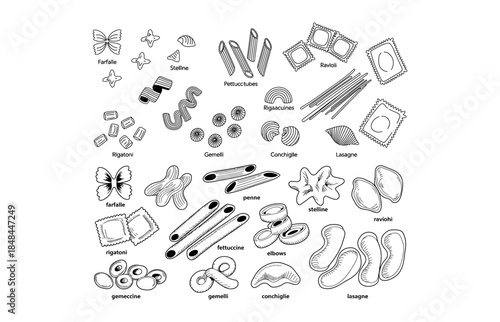 Assortment of Hand- Drawn Italian Pasta Shapes with Labels food cuisine