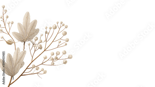 Elegant botanical branch with delicate leaves and small berries minimal floral arrangement fine art photography isolated on white background