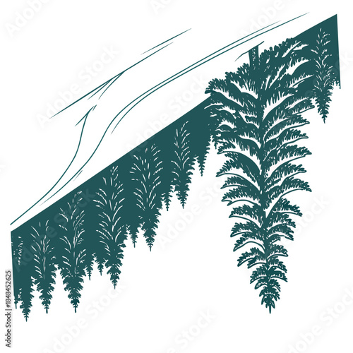 Snowy slope with pine forest below trees winter landscape