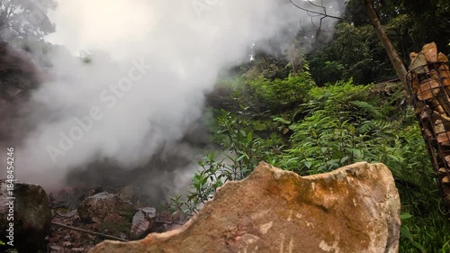 A large rock sits in front of a misty and steamy geothermal area with a backdrop of lush trees and greenery, creating a natural and serene atmosphere.