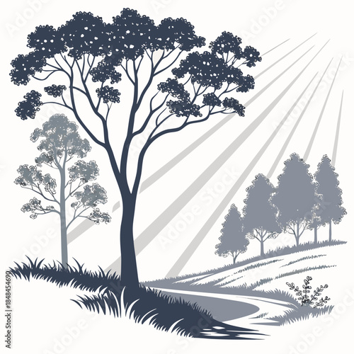 Forest clearing with sunlight beams and trees grass