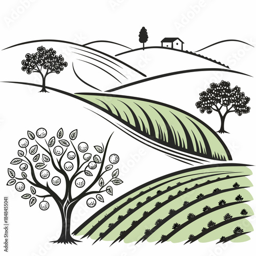 Rolling green farmland with orchard trees and house