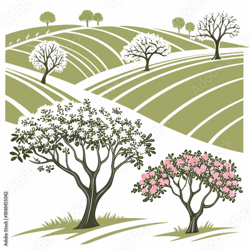Rolling green farmland with orchard trees and blossoms
