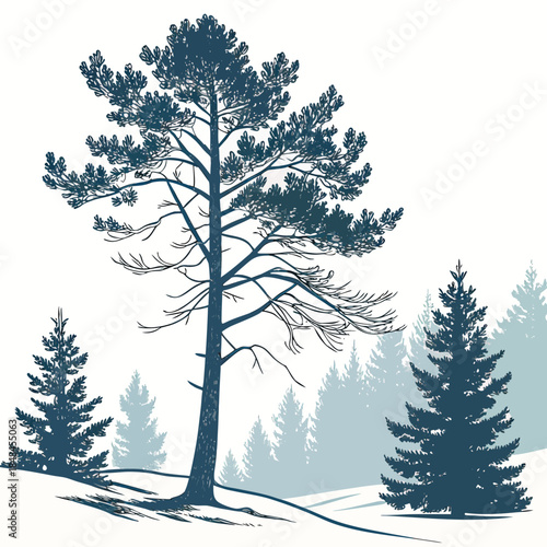 Snowy pine forest with misty background and large tree
