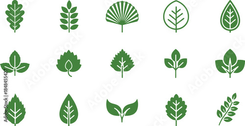 Collection of diverse green leaf icons representing nature and botanical elements.
