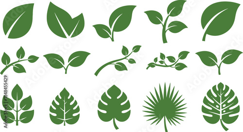 Collection of various green leaves and foliage designs.