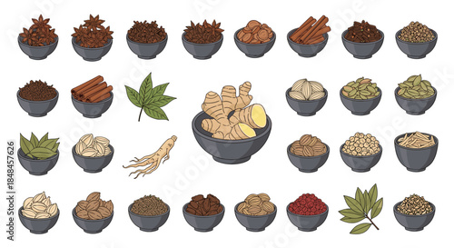 Large collection of various herbs and spices used in traditional Chinese or herbal medicine, including ginger, cinnamon, star anise, and ginseng, meticulously illustrated in bowls and as whole plants.