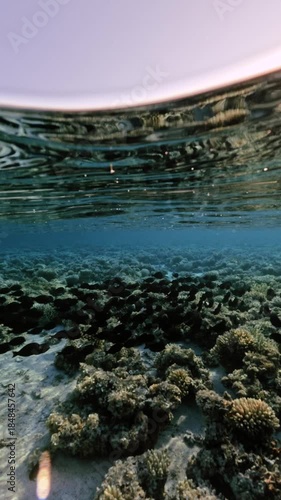 Vertical split half underwater view of wave surface and coral reef with school of tropical reef fish in calm tropical sea at sunset