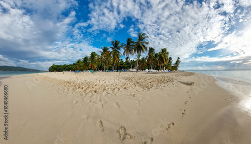 Sandy Caribbean beach. A paradise sandy beach with palm trees on the Caribbean coast.