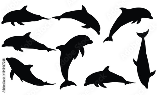 Collection of black dolphin silhouettes in various poses on white background animal