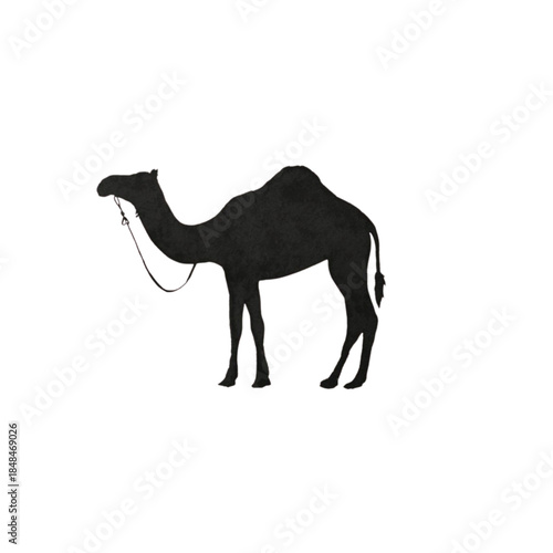 A majestic camel standing in a serene desert landscape from a side viewpoint