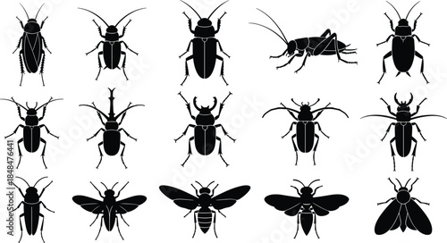 Set of vector insect silhouettes including beetle, cockroach, cricket, and bee, isolated black animals on white background for pest control design.