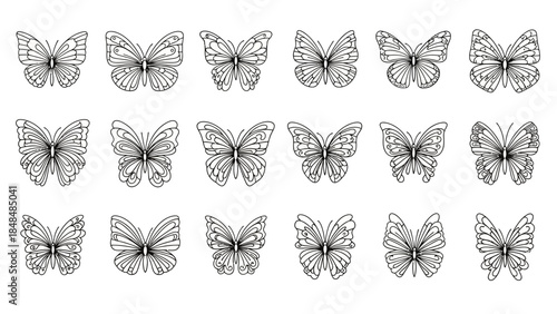 Collection of elegant butterfly illustrations in black and white