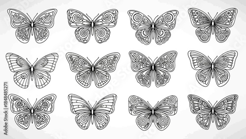 Set of intricate butterfly illustrations with swirling patterns