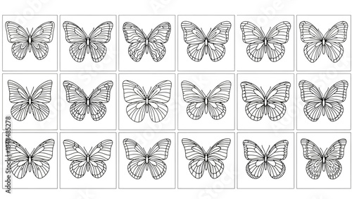 Collection of various butterfly illustrations in black and white
