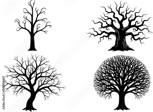Four trees in various stages of growth