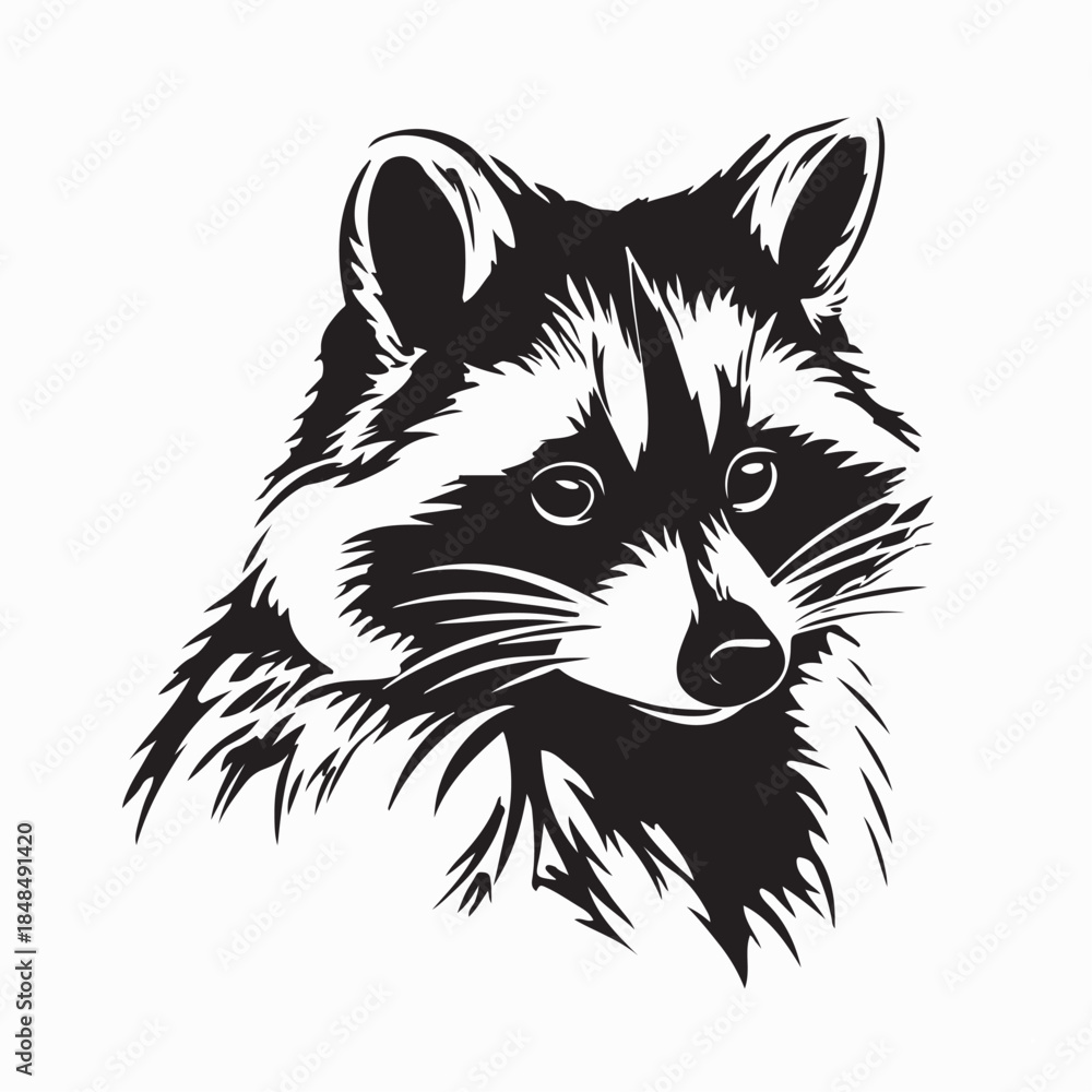 Obraz premium Majestic Raccoon Vector Illustrations Isolated on White Background
