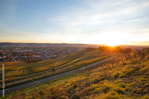Die Weinberge im Remstal bei Korb im Rems-Murr-Kreis zeigen sich im Herbst in ihrer ganzen Farbenpracht. Beim Sonnenuntergang werden die Weinberge von warmem, tief stehenden Sonnenlicht angestrahlt.
