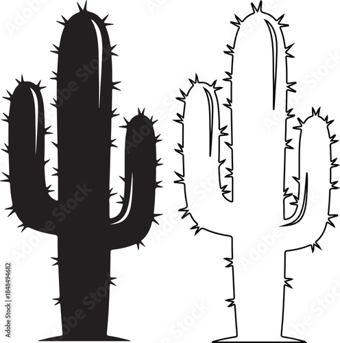 Black and white cactus illustrations with spines and stems