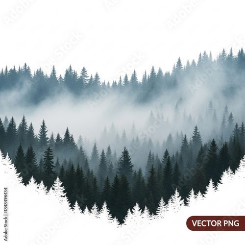 Misty evergreen forest landscape atmospheric pine trees shrouded in fog serene nature background for travel and environmental themes