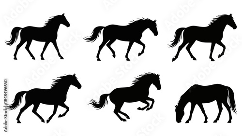 Silhouettes of horses in various poses, capturing the grace and power of these magnificent animals, perfect for design projects