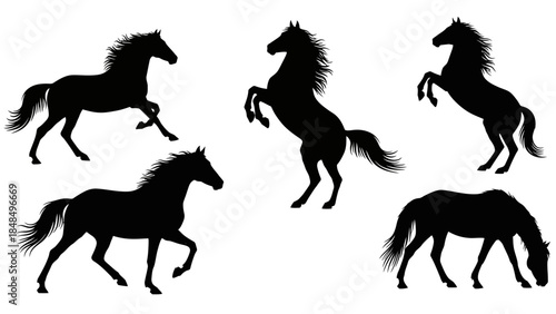 Silhouettes of Five Galloping and Rearing Horses in Motion against a White Background