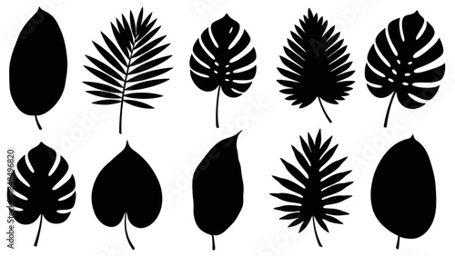 Collection of tropical plant leaves in silhouette, various shapes and sizes, perfect for graphic design and nature-themed projects