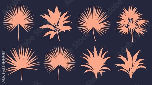 Collection of Various Stylized Palm Tree Leaves in Silhouette on Dark Background