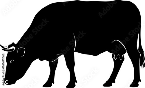 Black Silhouette of a Cow.