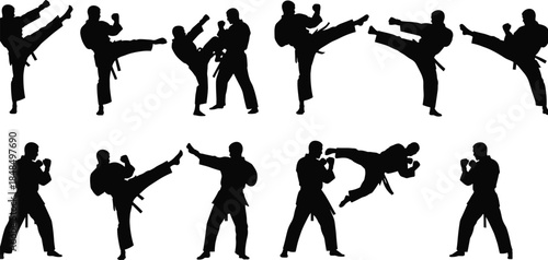 Silhouette illustration of martial artists in fighting stances, executing kicks and punches, traditional uniform design for sports and training
