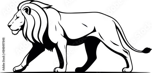 Lion Illustration Walking Profile View.