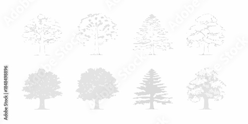 A collection of sketched trees showcasing different shapes and foliage styles