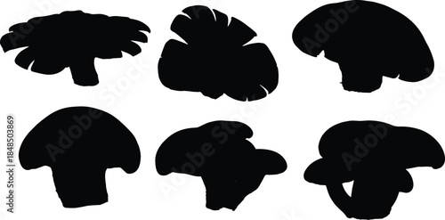 Transparent blank background image, empty clean canvas placeholder for graphic design, mockups, presentations, overlays and digital creative projects