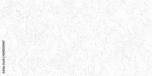 Abstract white background with swirling lines and organic shapes