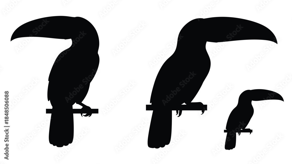 Naklejka premium Silhouettes of three toucans perched on branches a simple black and white design