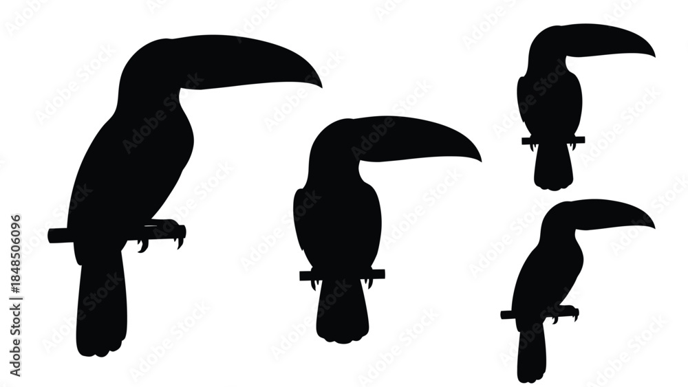 Obraz premium Silhouettes of toucans a study in tropical bird shapes and forms