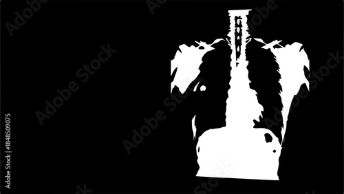 Human torso anatomy with transparent background