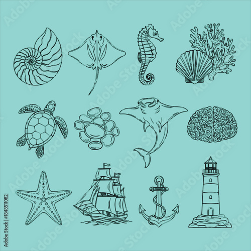 Oceanic illustrations of sea creatures and nautical symbols