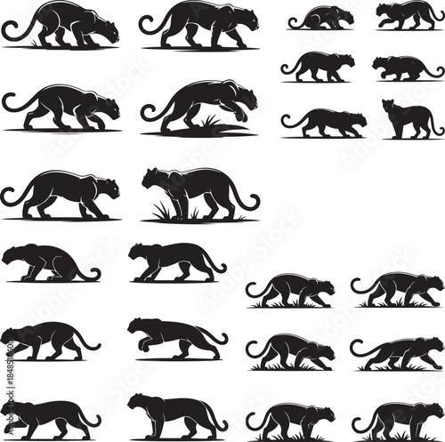 “Powerful Panther Silhouette Collection – Black Panther, Shadow Panther, Night Panther & Predator Silhouettes”