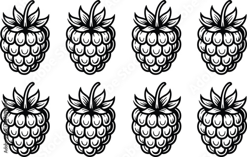 Eight Black and White Raspberry in Two Rows fruit berries