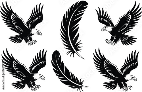 Four Black Eagles and Three Feathers in white bird
